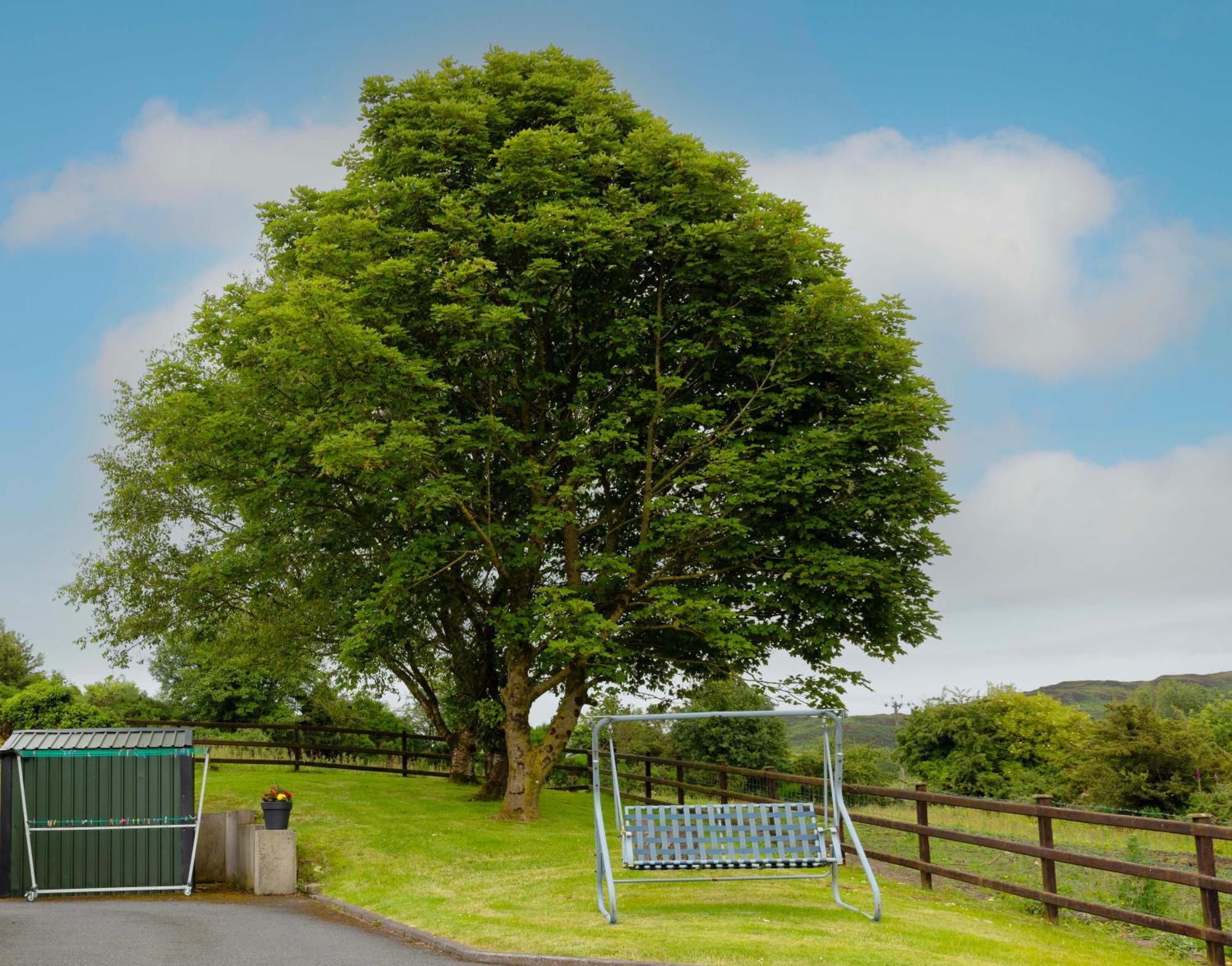 Mountain Nest At The Foot Of Slieve Gullion Apartment Cloghoge ภายนอก รูปภาพ