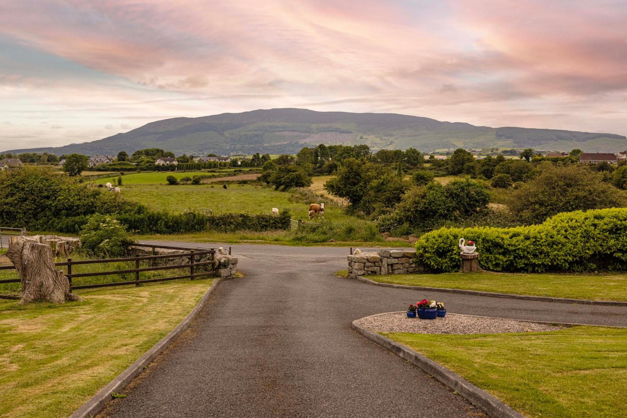 Mountain Nest At The Foot Of Slieve Gullion Apartment Cloghoge ภายนอก รูปภาพ